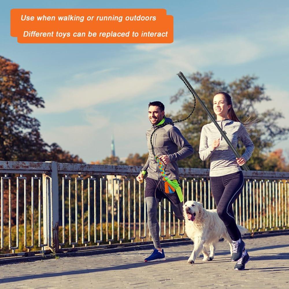 Palo de Coqueteo Interactivo ASOCEA para Perros Ajustable