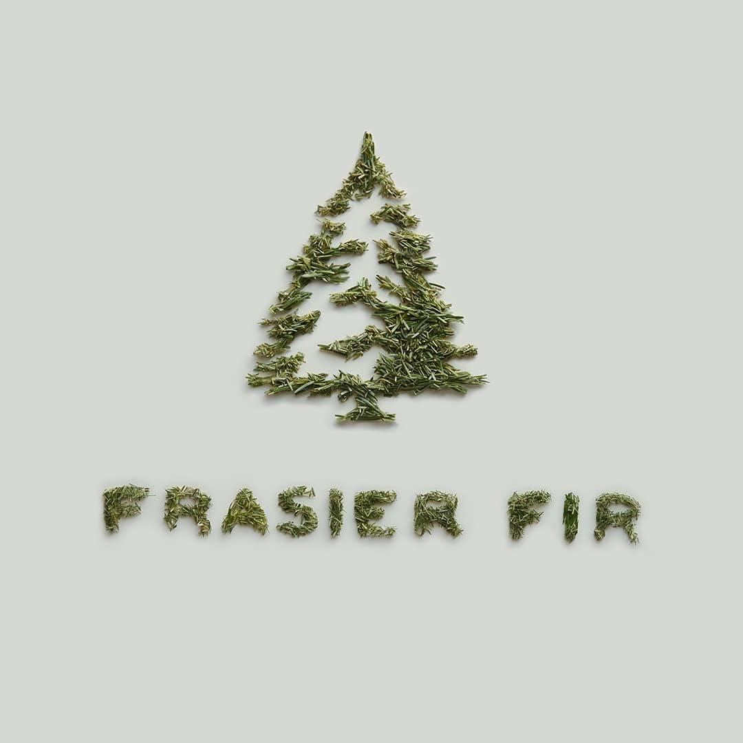 Kit de Difusor de Auto Thymes Frasier Fir - Ambientador Larga Duración