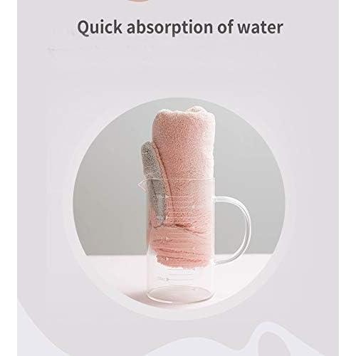 Toalla de Microfibra para el Cabello czmylzytt Rosa y Morado - 2 Piezas