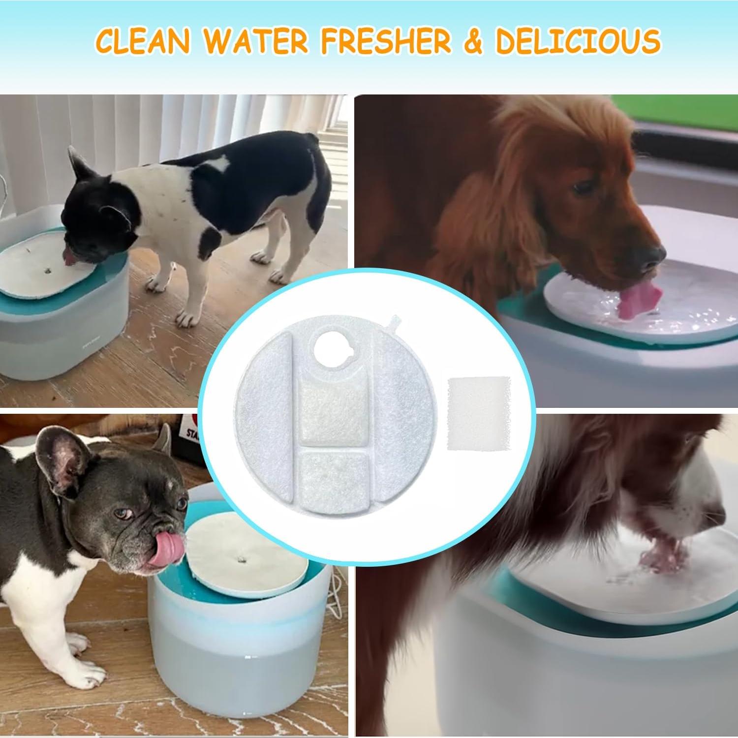 Paquete de 12 filtros de repuesto Petlibro Capsule PLWF008