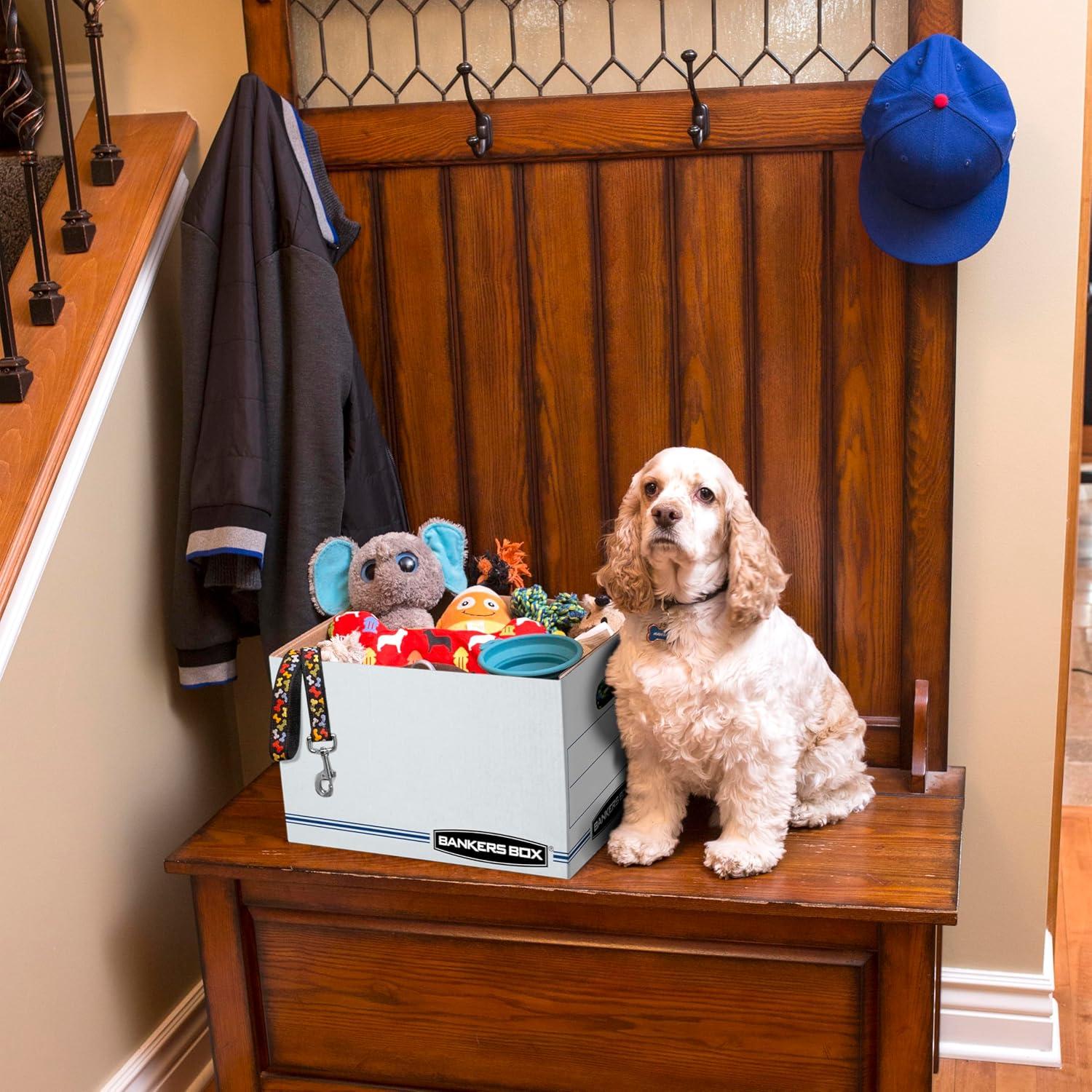 Cajas de Almacenamiento Bankers Box 12 Unidades 38.1x30.5x25.4 cm