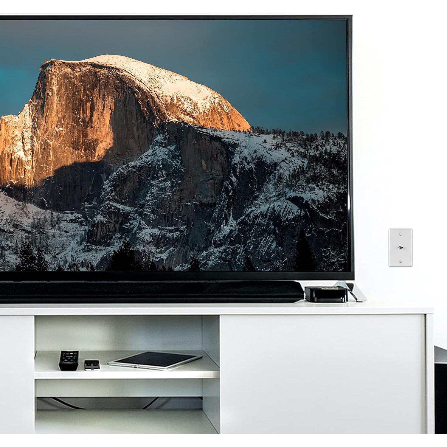 Placa Coaxial GE 1 Puerto Montada en Pared Blanca 40050