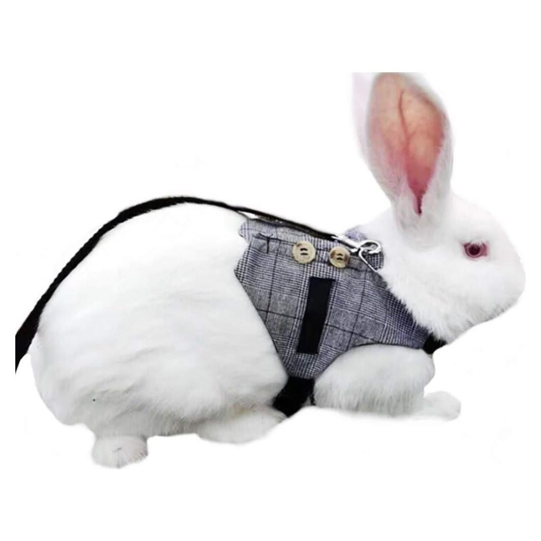 Arnés y Correa Ajustable Hypeety para Conejo y Gato Pequeño S