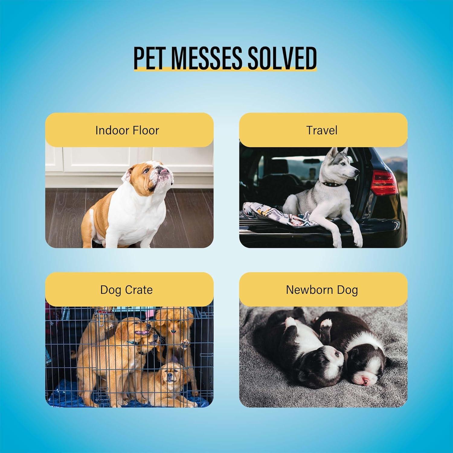 Almohadillas de Entrenamiento para Perros COCOYO 30 Piezas 56x56 cm