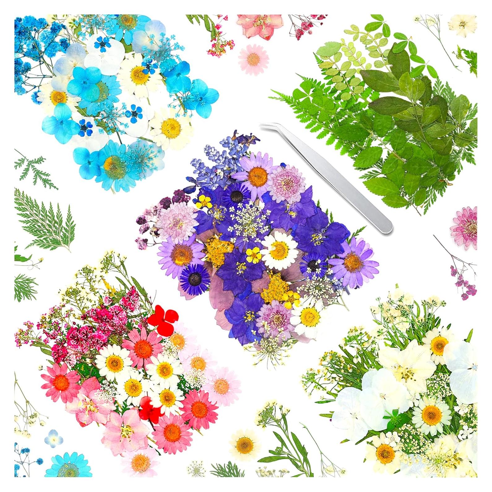 170 Piezas Flores Secas Presionadas Vignee para Manualidades