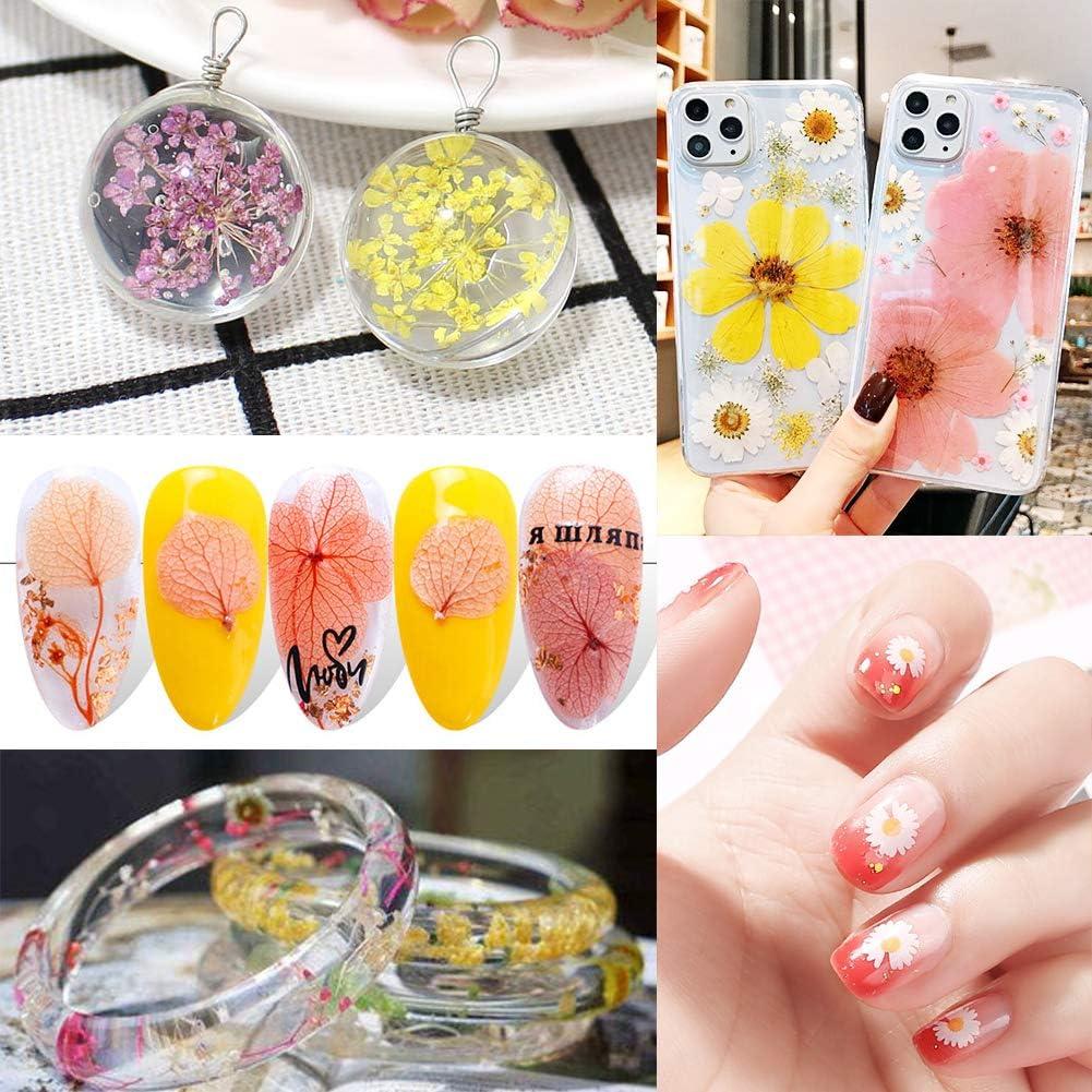 170 Piezas Flores Secas Presionadas Vignee para Manualidades