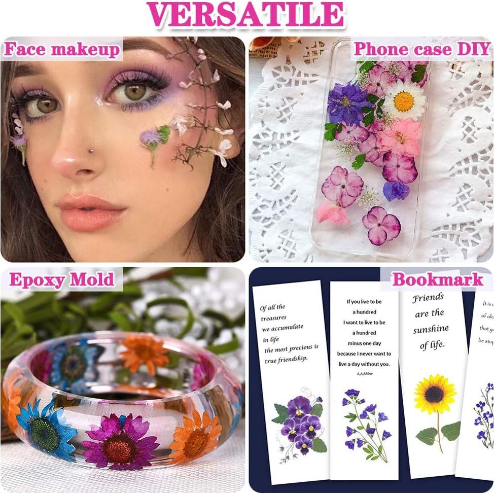 170 Piezas Flores Secas Presionadas Vignee para Manualidades