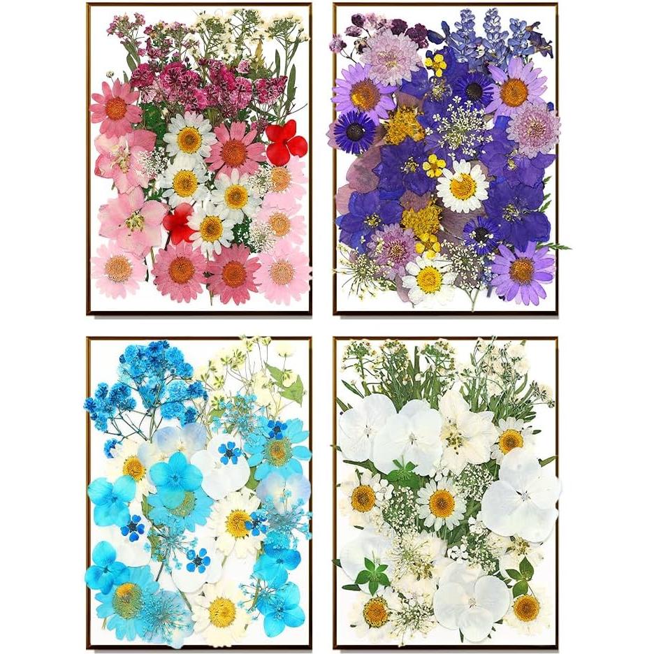 170 Piezas Flores Secas Presionadas Vignee para Manualidades