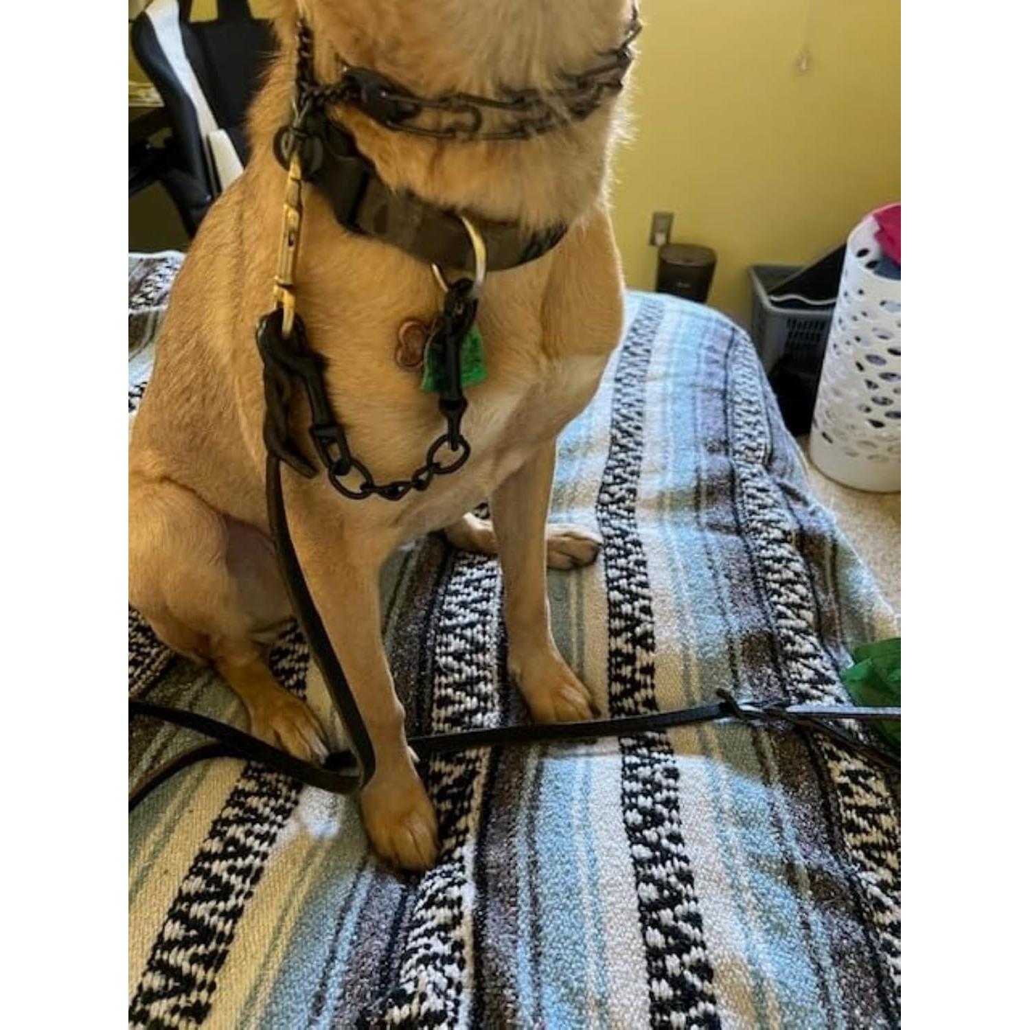 Clip de Seguridad para Collar de Perro DEYACE 20cm y 25cm Negro