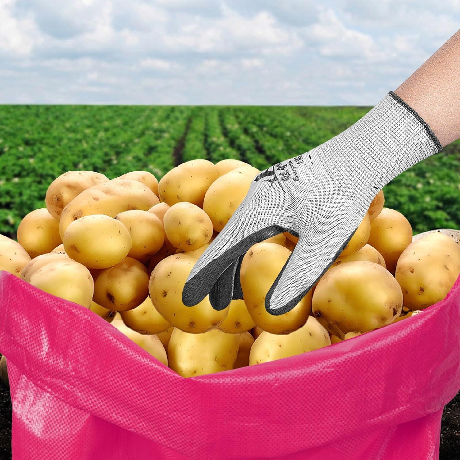 10 Bolsas de Carrera de Sacos de Papa WSFSLJWDW Coloridas 73.66x99.06cm