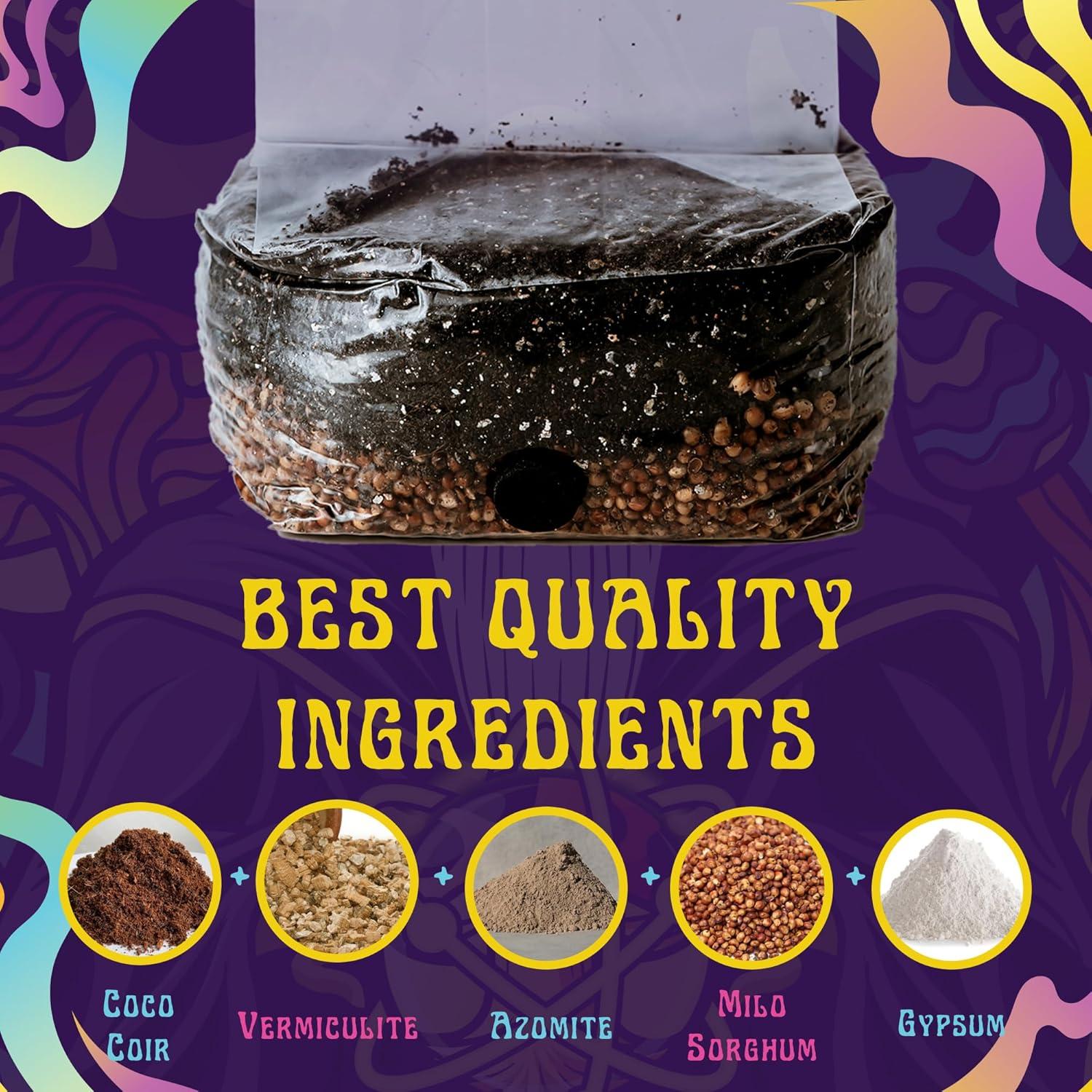 Kit de Cultivo de Champiñones 2 LB Spore Sorcery - Fácil y Rápido