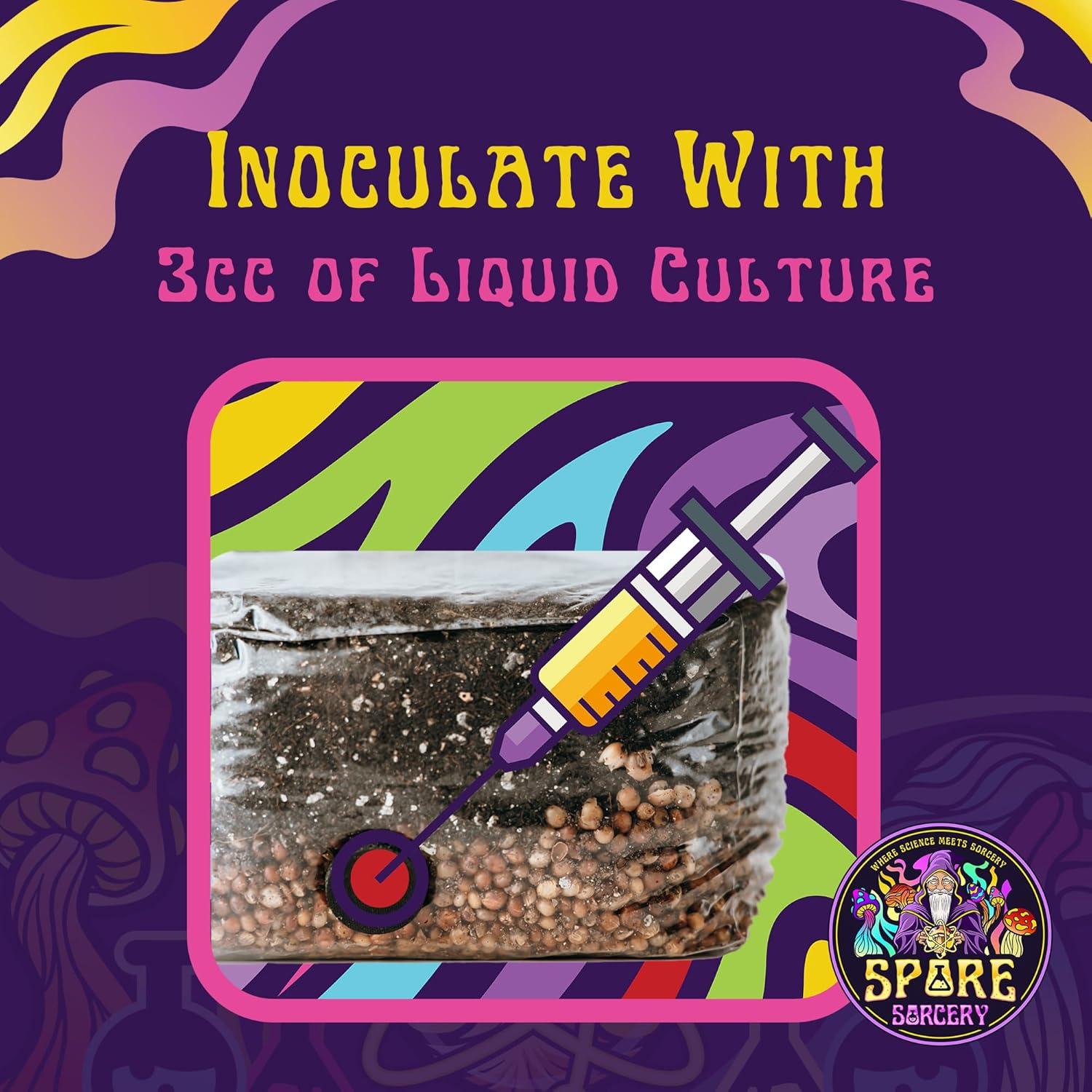 Kit de Cultivo de Champiñones 2 LB Spore Sorcery - Fácil y Rápido