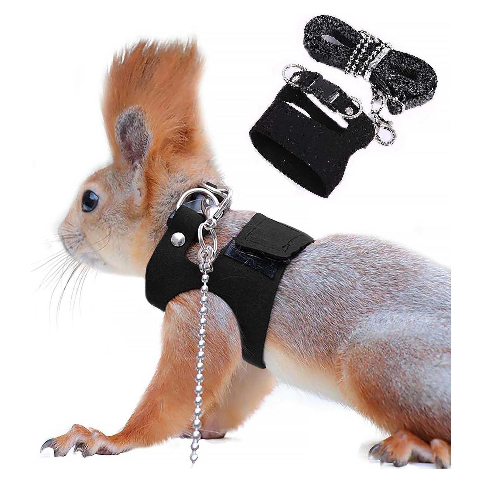 Correa de Tracción ADNIKIA para Ardillas y Hámsters 1.8m