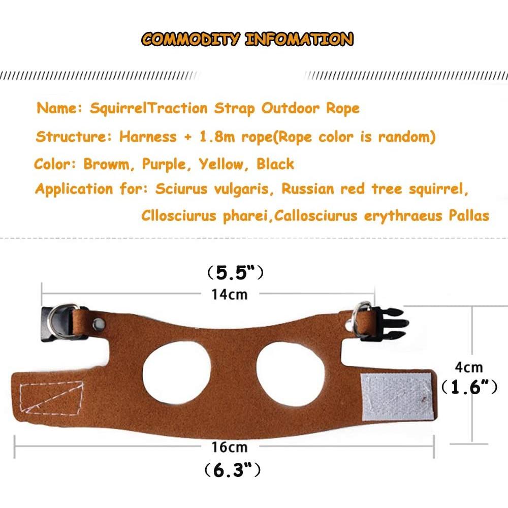 Correa de Tracción ADNIKIA para Ardillas y Hámsters 1.8m