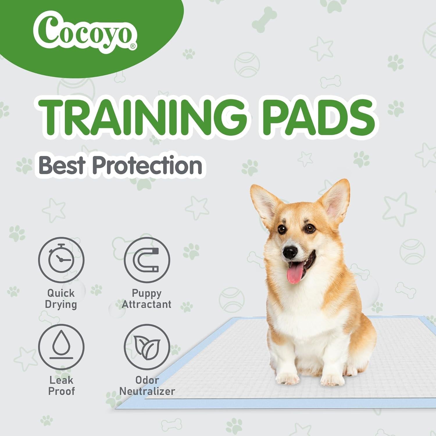 Almohadillas de Entrenamiento para Perros COCOYO XXXL 30 Pzas