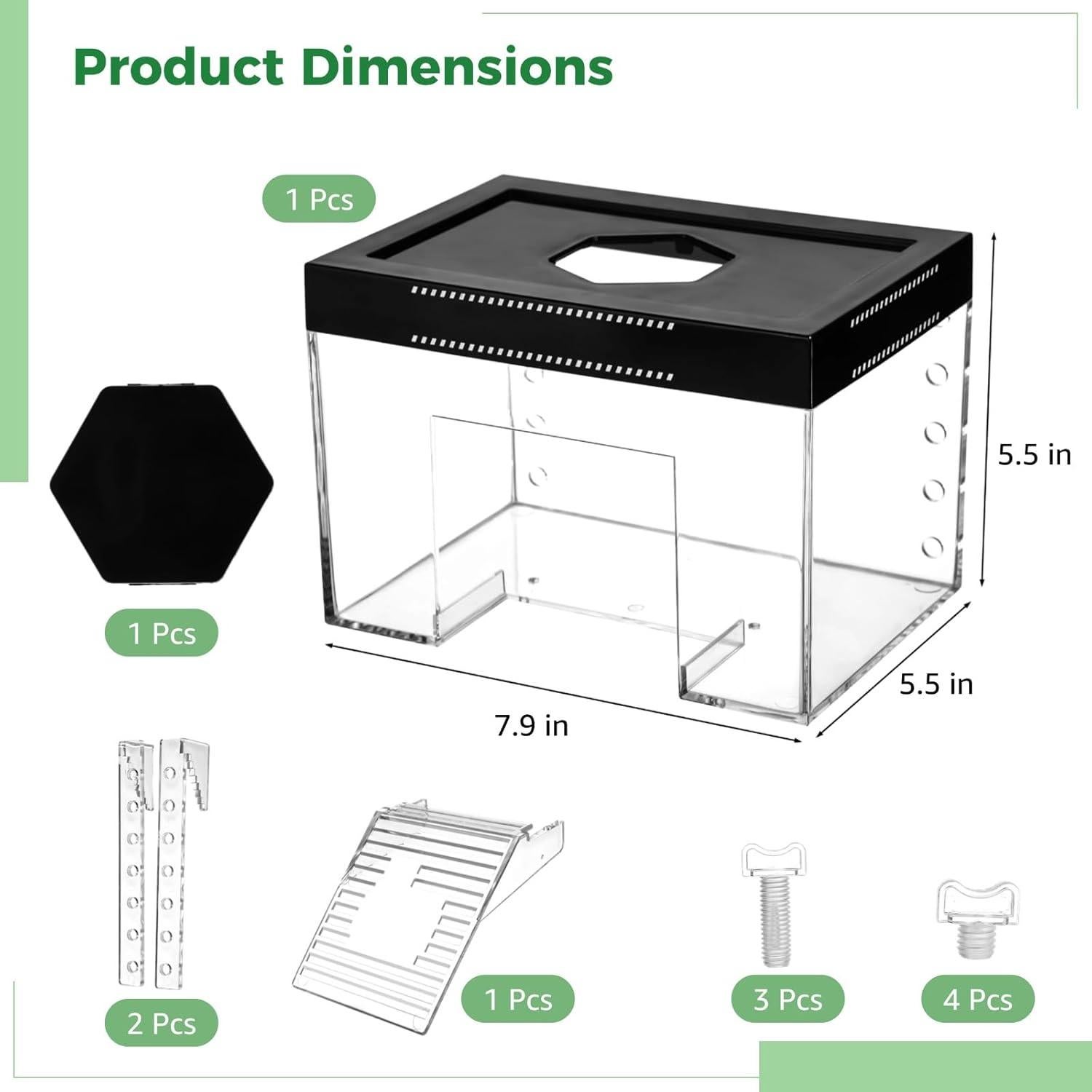 Plataforma Elevada para Tortugas Homaisson - Pequeña, Transparente, Ajustable
