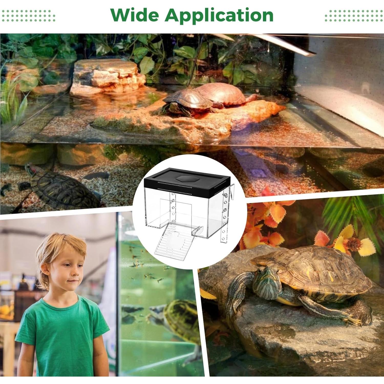 Plataforma Elevada para Tortugas Homaisson - Pequeña, Transparente, Ajustable