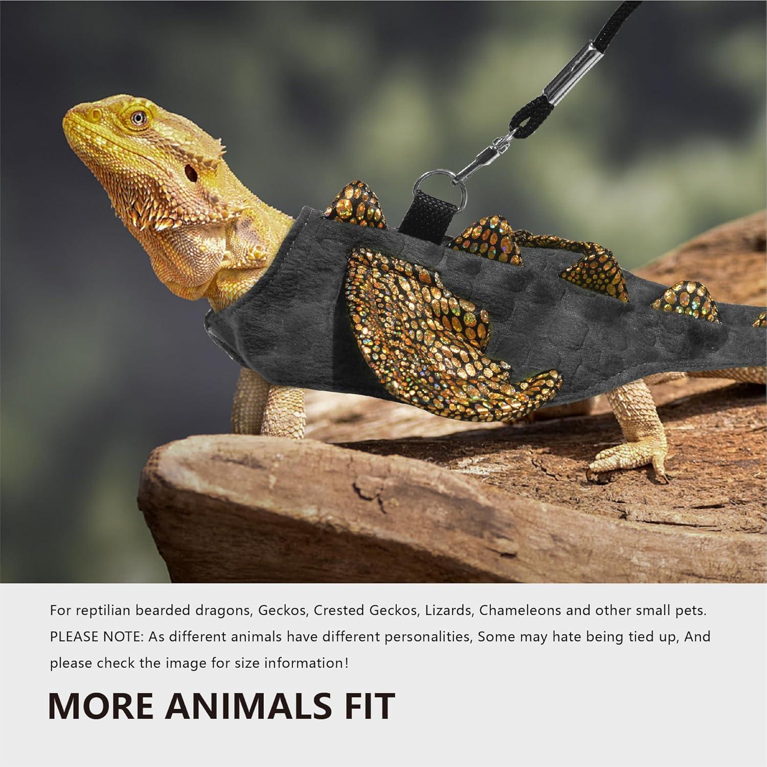 Juego de Transportador y Arnés para Dragón Barbudo Goblfu