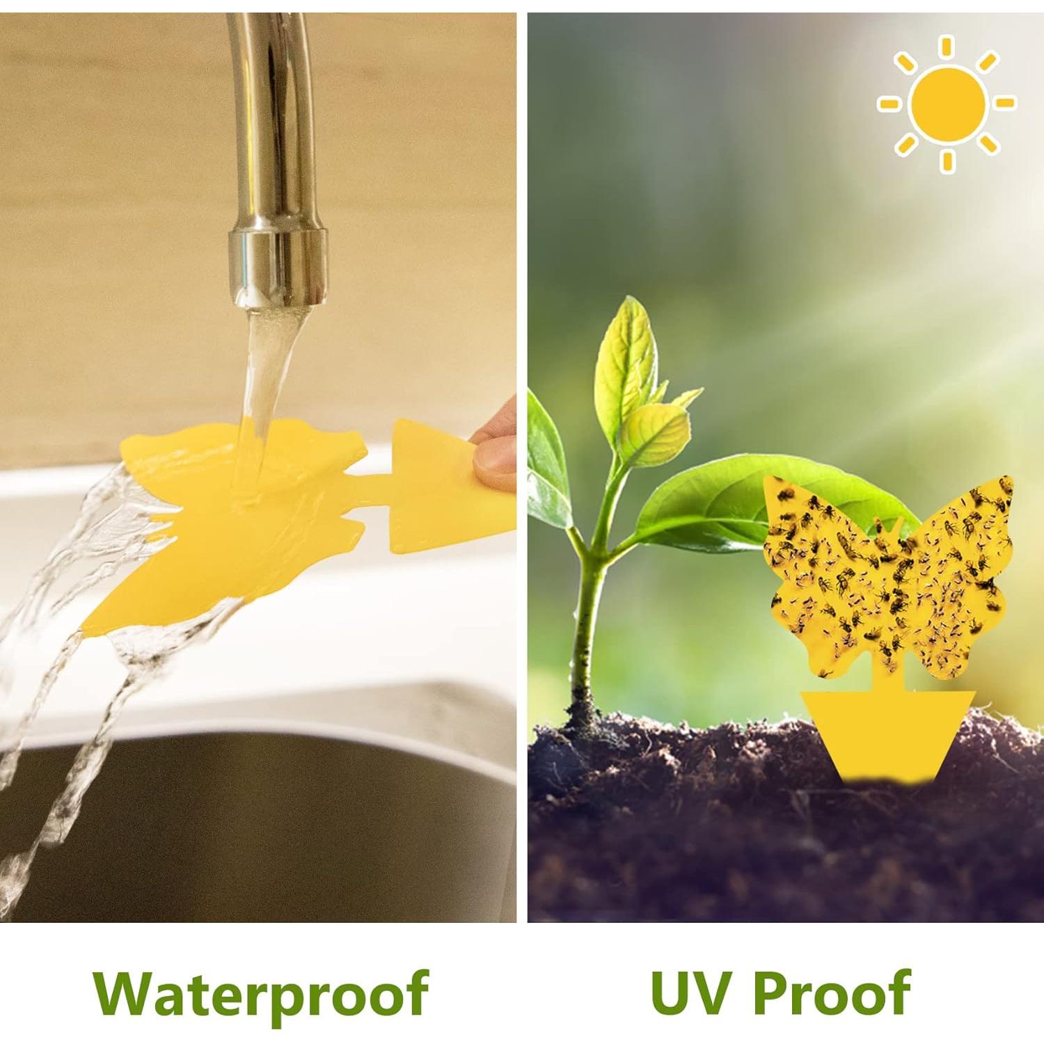 Paquete de 40 trampas adhesivas amarillas Dwcom para mosquitos