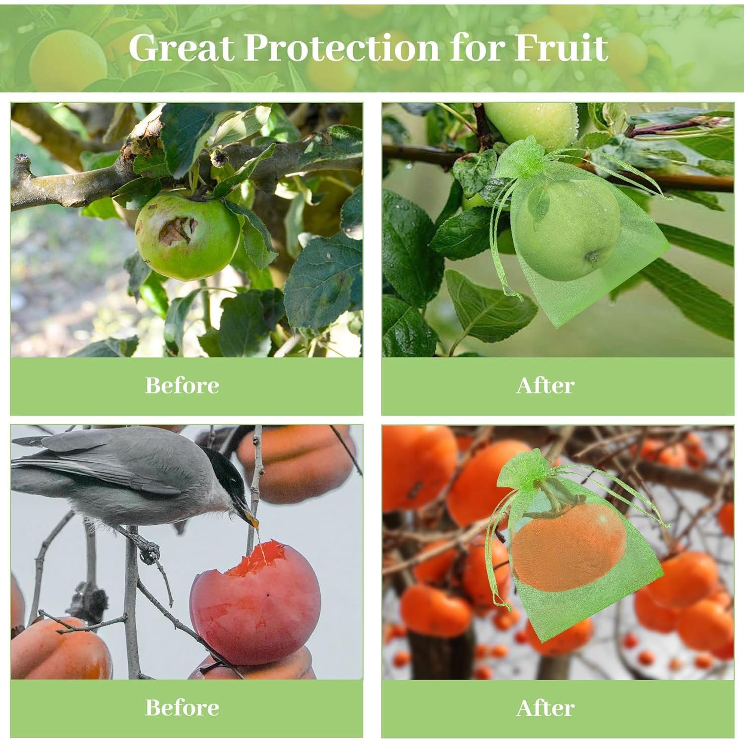 Bolsas de Protección de Frutas ZIFTY 100 Pcs 10x15 cm Verde