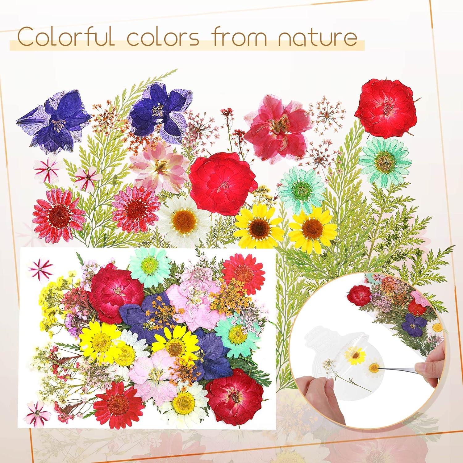 Marcadores Transparentes de Flores Secas TaoBary - 91 Piezas