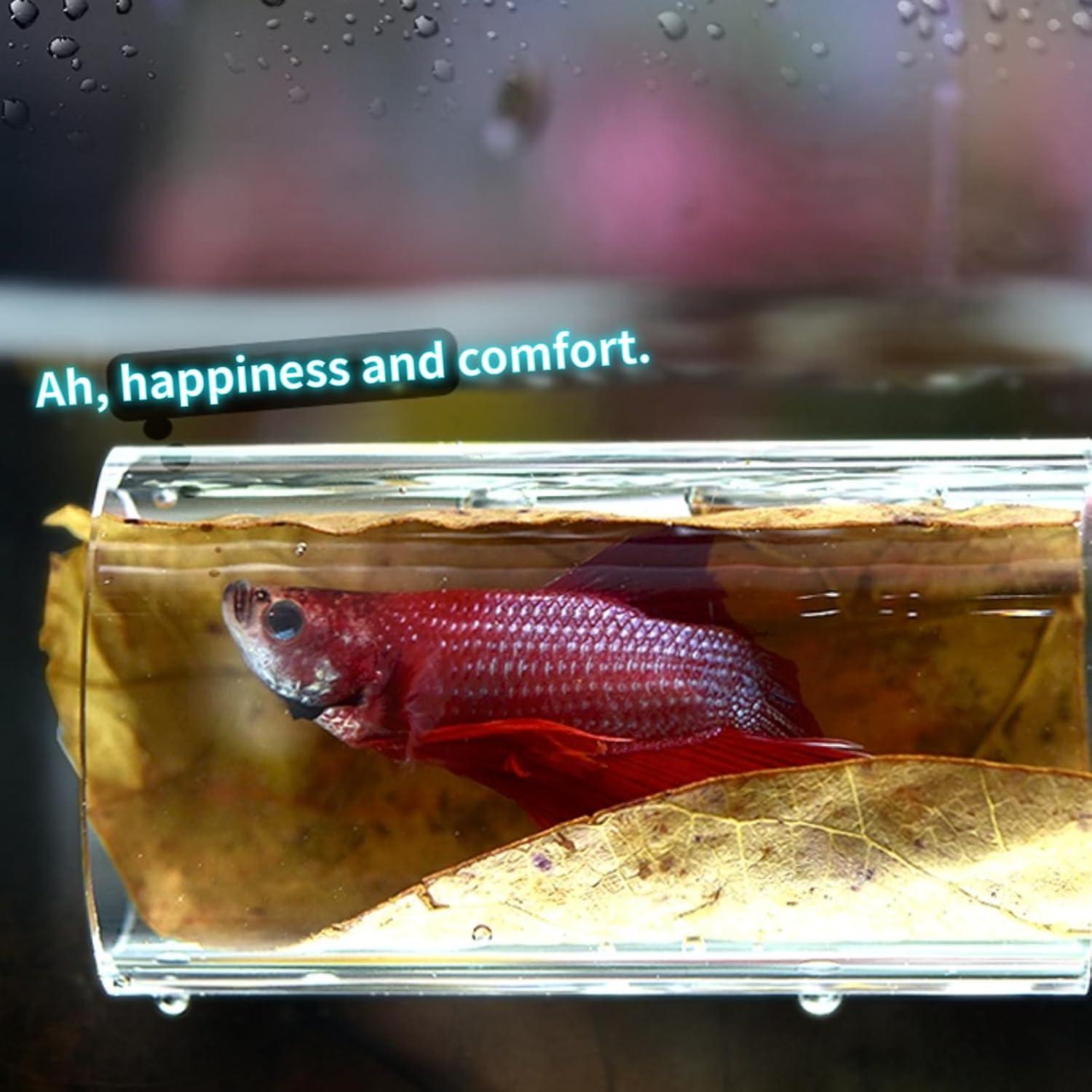 Túnel Acrílico para Peces Betta DODOAQUA 7.8cm Azul Claro