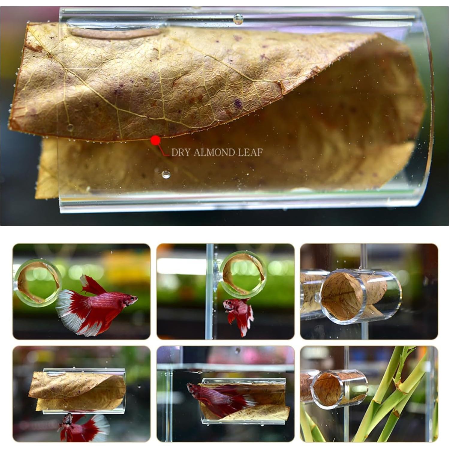 Túnel Acrílico para Peces Betta DODOAQUA 7.8cm Azul Claro