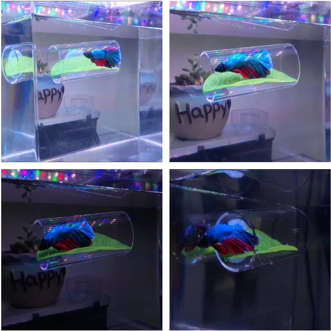 Túnel Acrílico para Peces Betta DODOAQUA 7.8cm Azul Claro