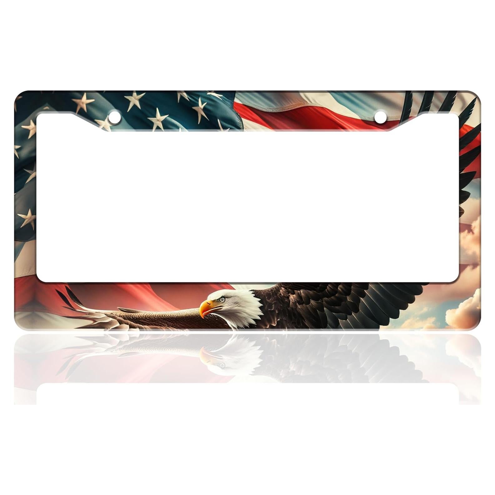 Marco de Placa de Licencia TINALUIN Acero Inoxidable 16x30.9cm