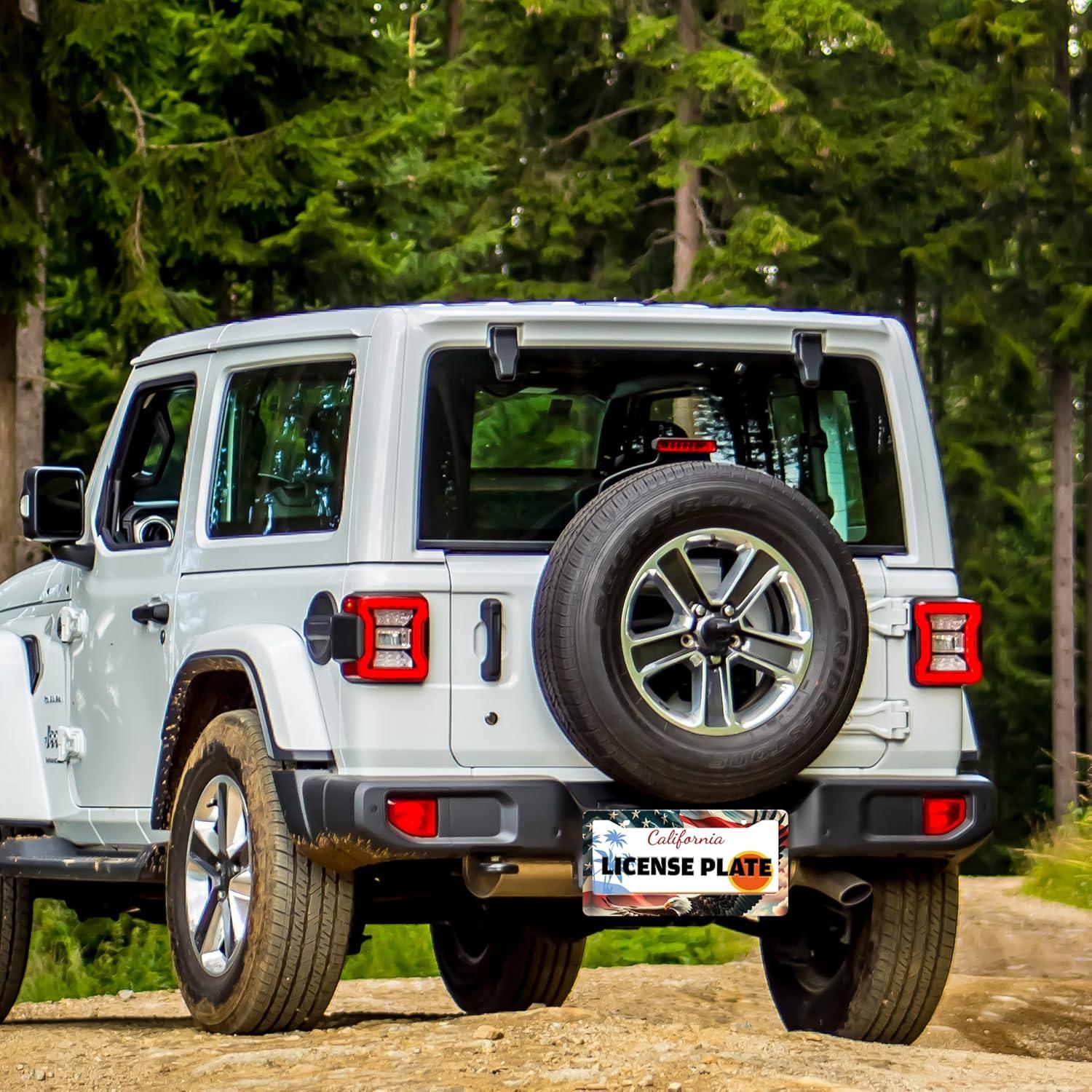 Marco de Placa de Licencia TINALUIN Acero Inoxidable 16x30.9cm