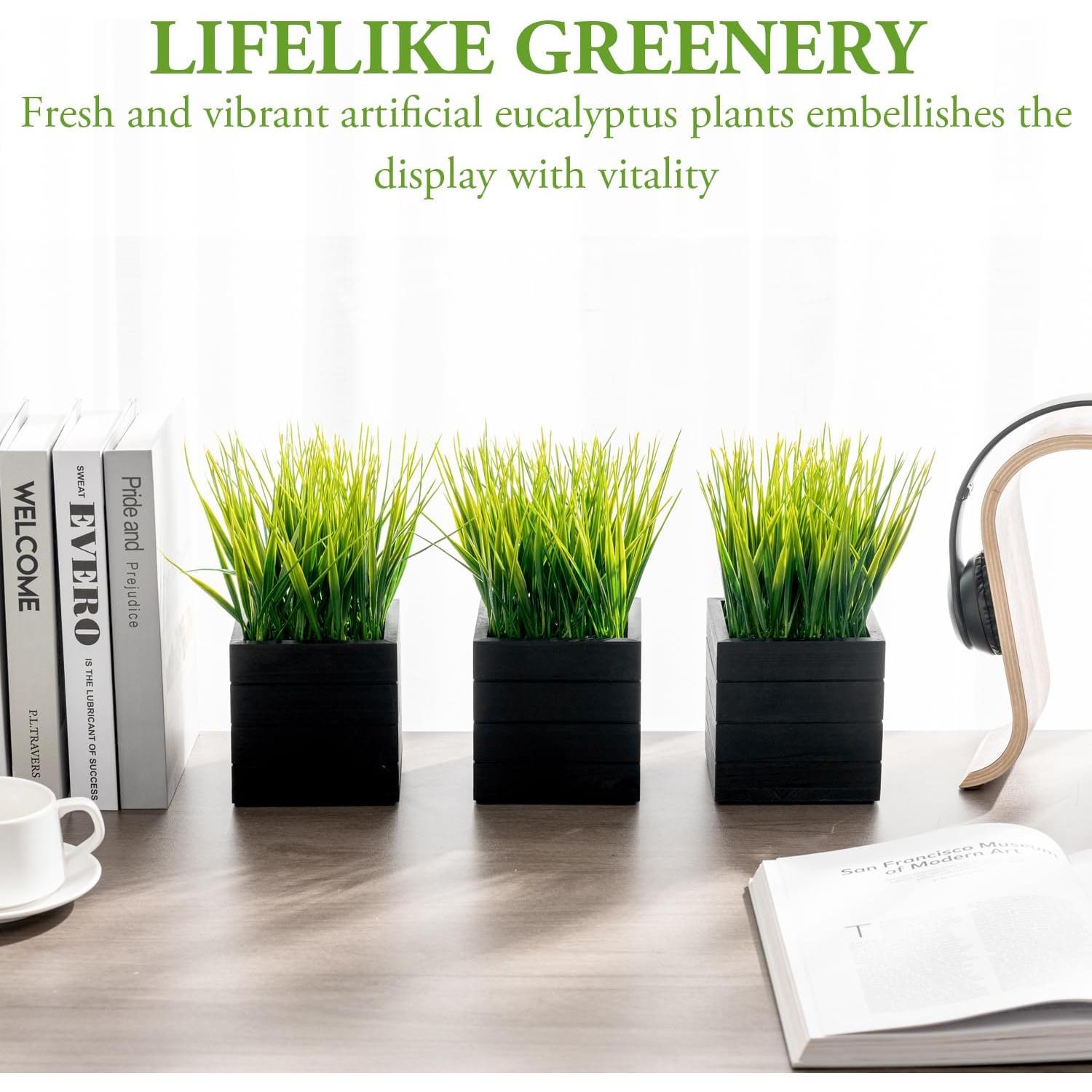 Juego de 3 Plantas de Césped Artificial MyGift en Cajas de Madera