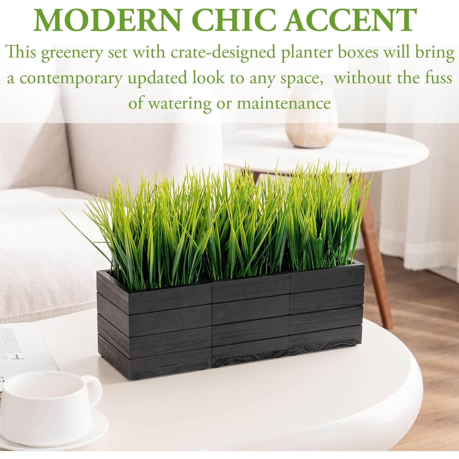 Juego de 3 Plantas de Césped Artificial MyGift en Cajas de Madera