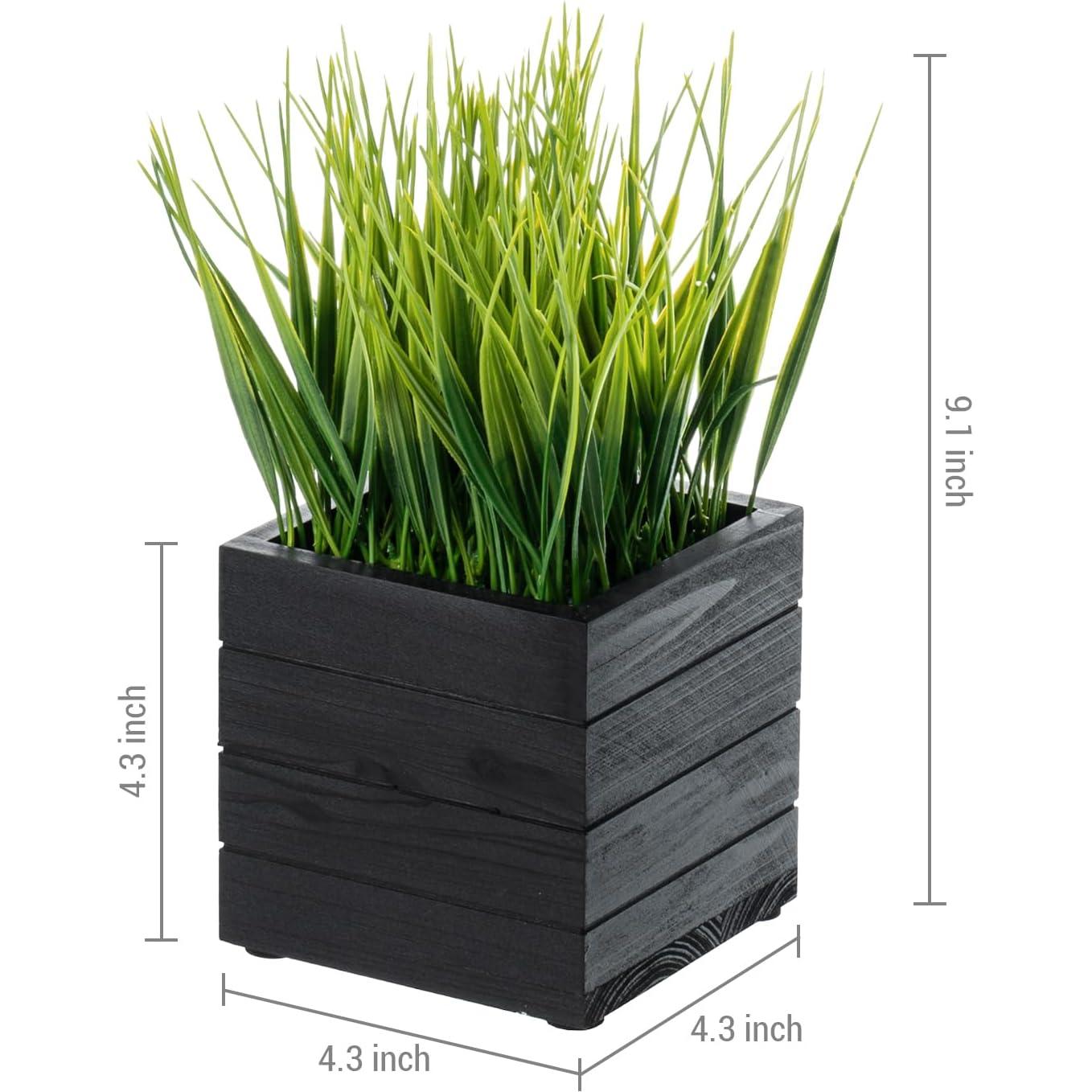 Juego de 3 Plantas de Césped Artificial MyGift en Cajas de Madera