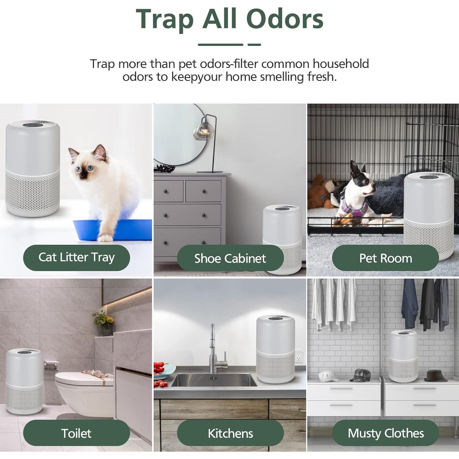 Filtro HEPA H13 para Purificador LEVOIT Core P350 - 2 Pzas