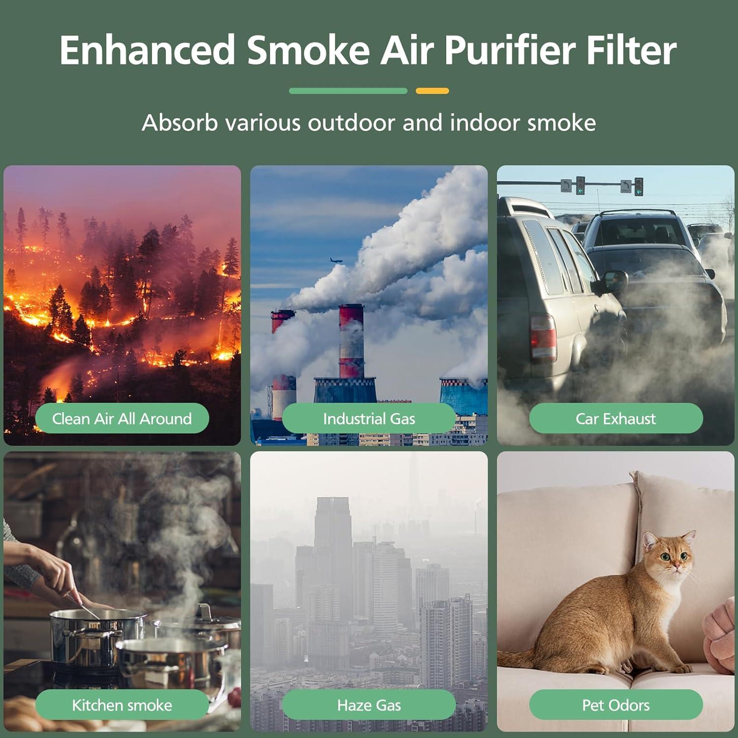 Filtro HEPA H13 para Purificador LEVOIT Core P350 - 2 Pzas