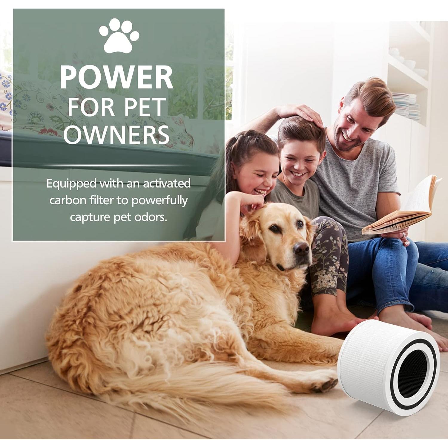 Filtro HEPA H13 para Purificador LEVOIT Core P350 - 2 Pzas