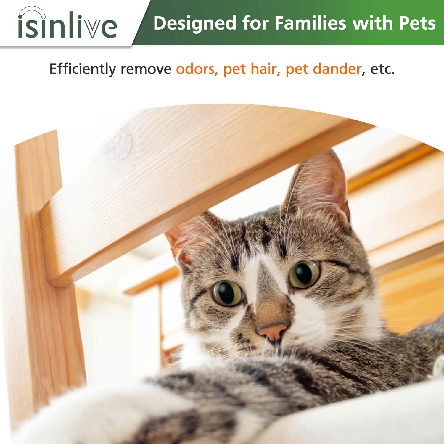 Filtro HEPA H13 para Purificador LEVOIT Core P350 - 2 Pzas