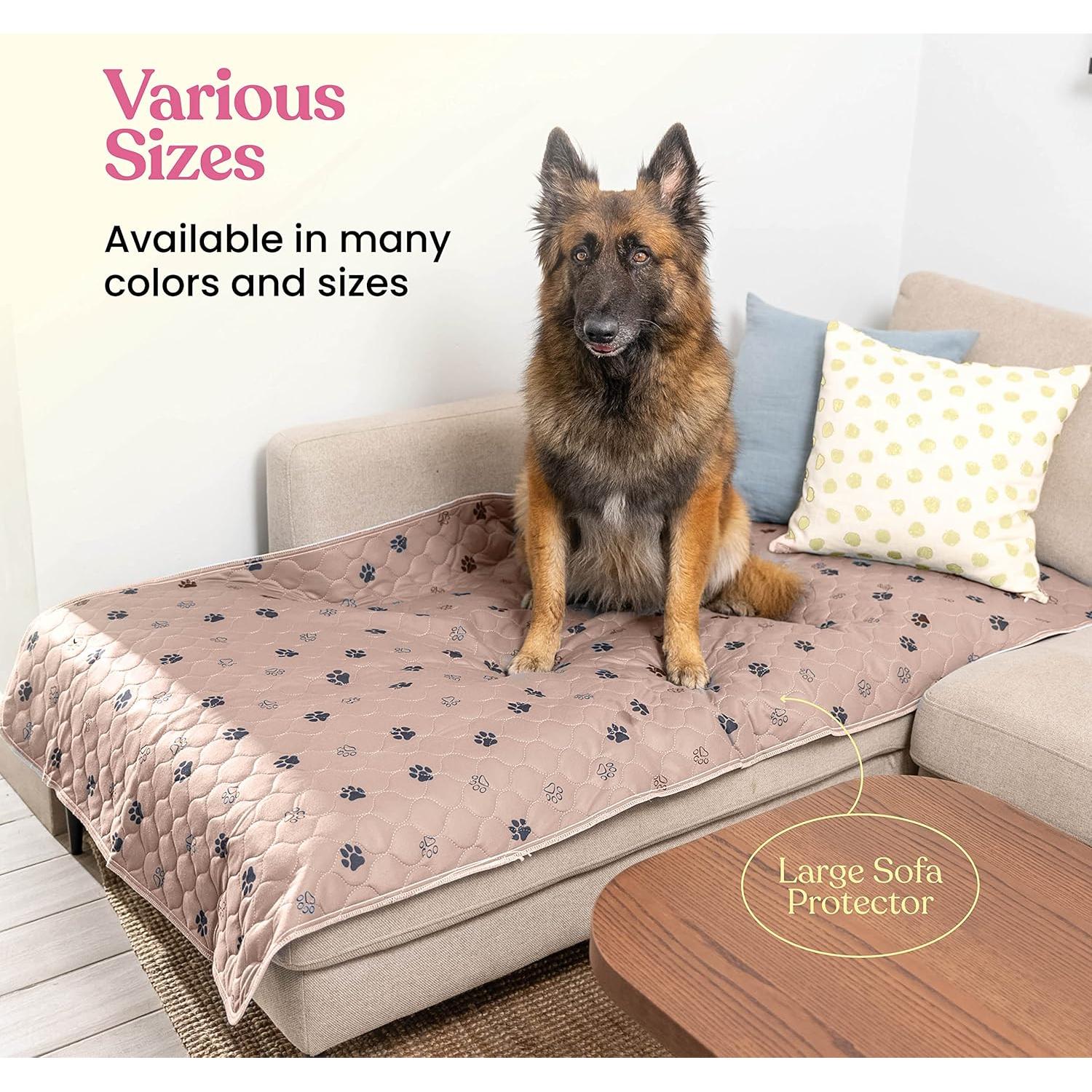 Almohadilla Lavable Super Absorbente PitPet 41x41 cm - Paquete de 2