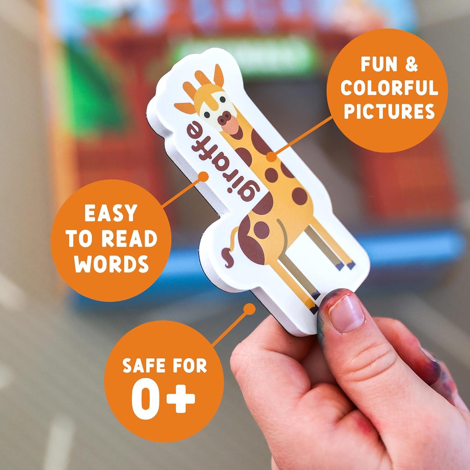 Imanes de Refrigerador Educativos Curious Columbus - Animales