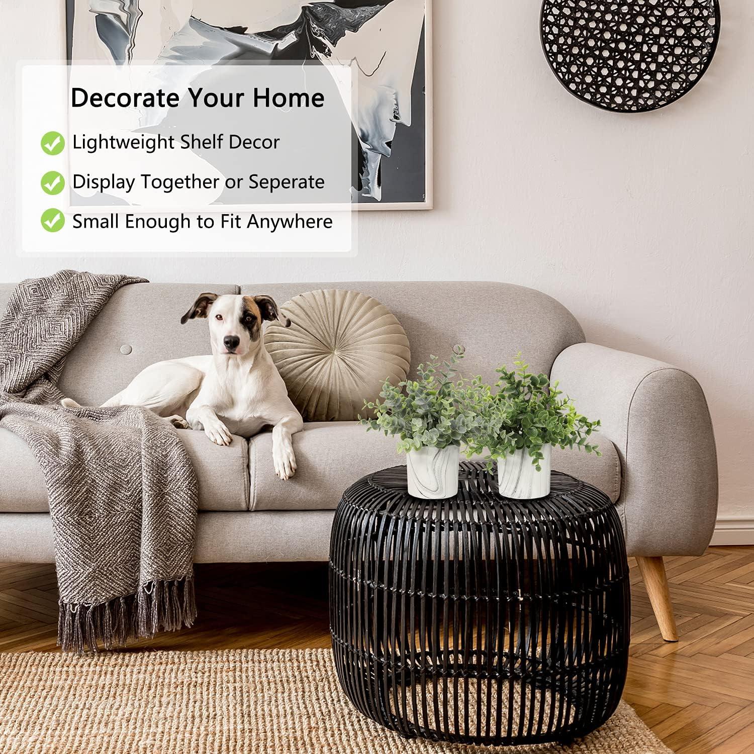 Planta Artificial Eucalipto Hollyone en Maceta 22.9 cm Verde