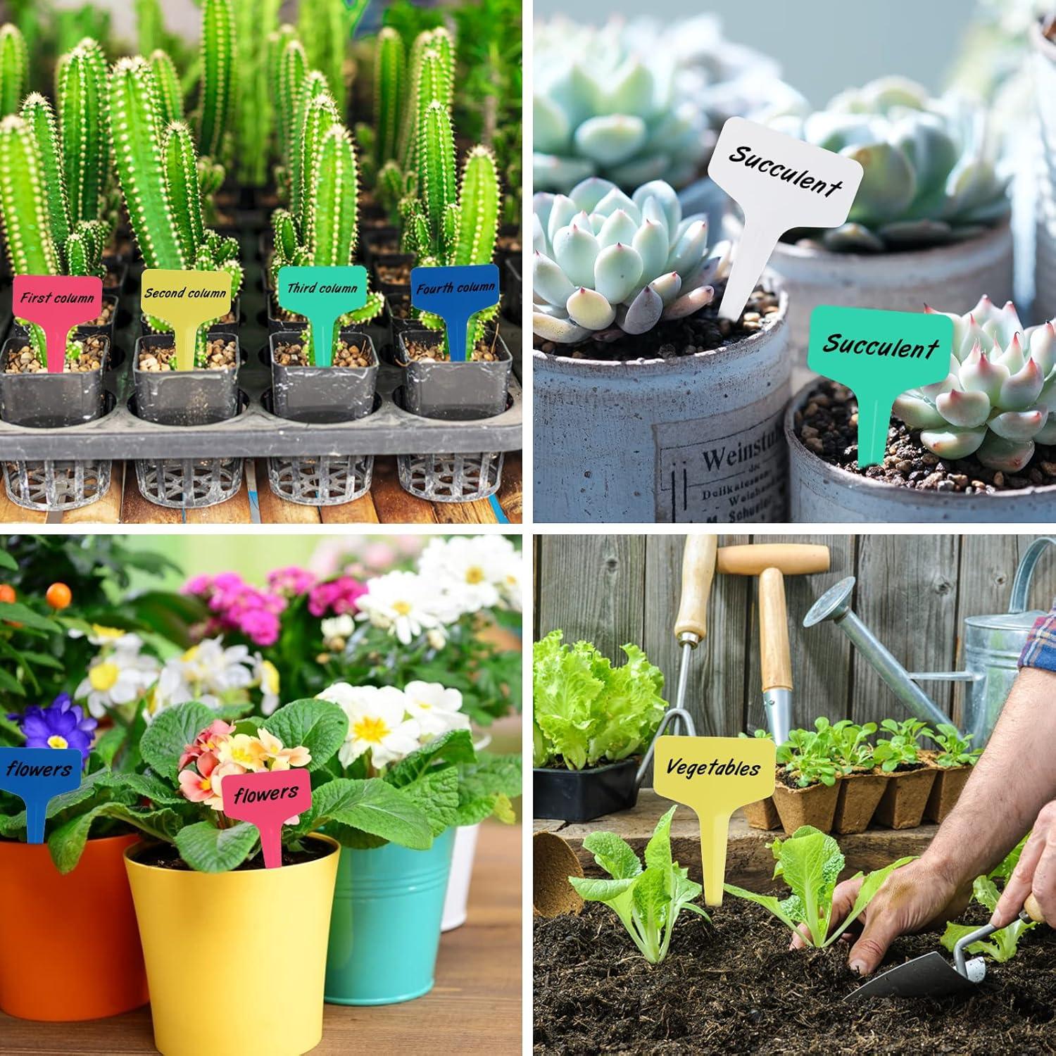 Etiquetas de Jardín KINGLAKE 200 Pcs, Marcadores de Plástico 6x10cm