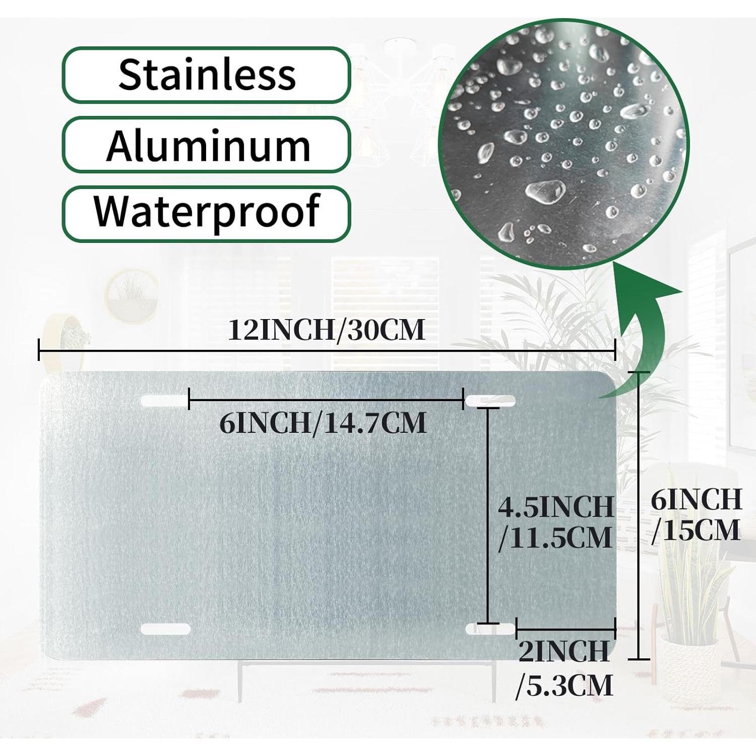 Cartel de Metal Retro RCXsigns 30.48x15.24cm - ¿Pero lo documentaste?