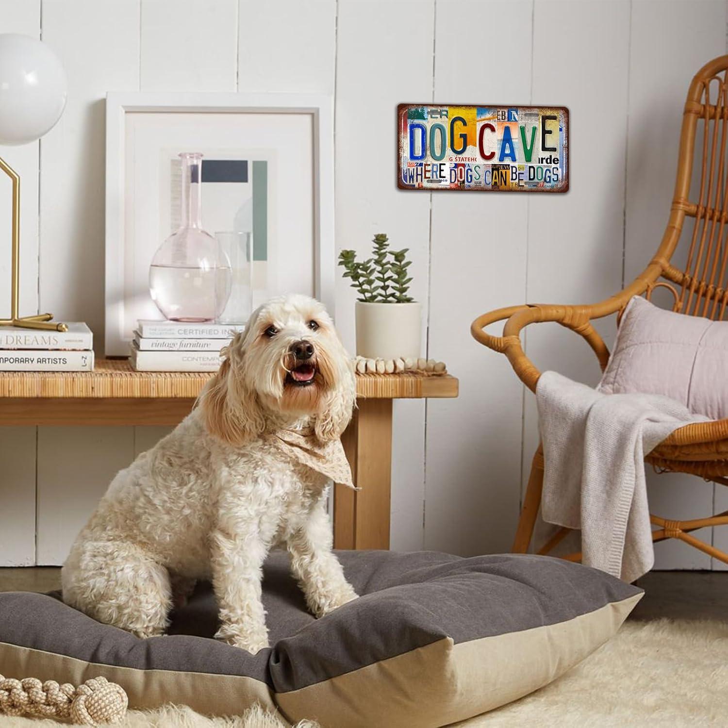 Cartel de Metal Retro RCXsigns 30.48x15.24cm - ¿Pero lo documentaste?