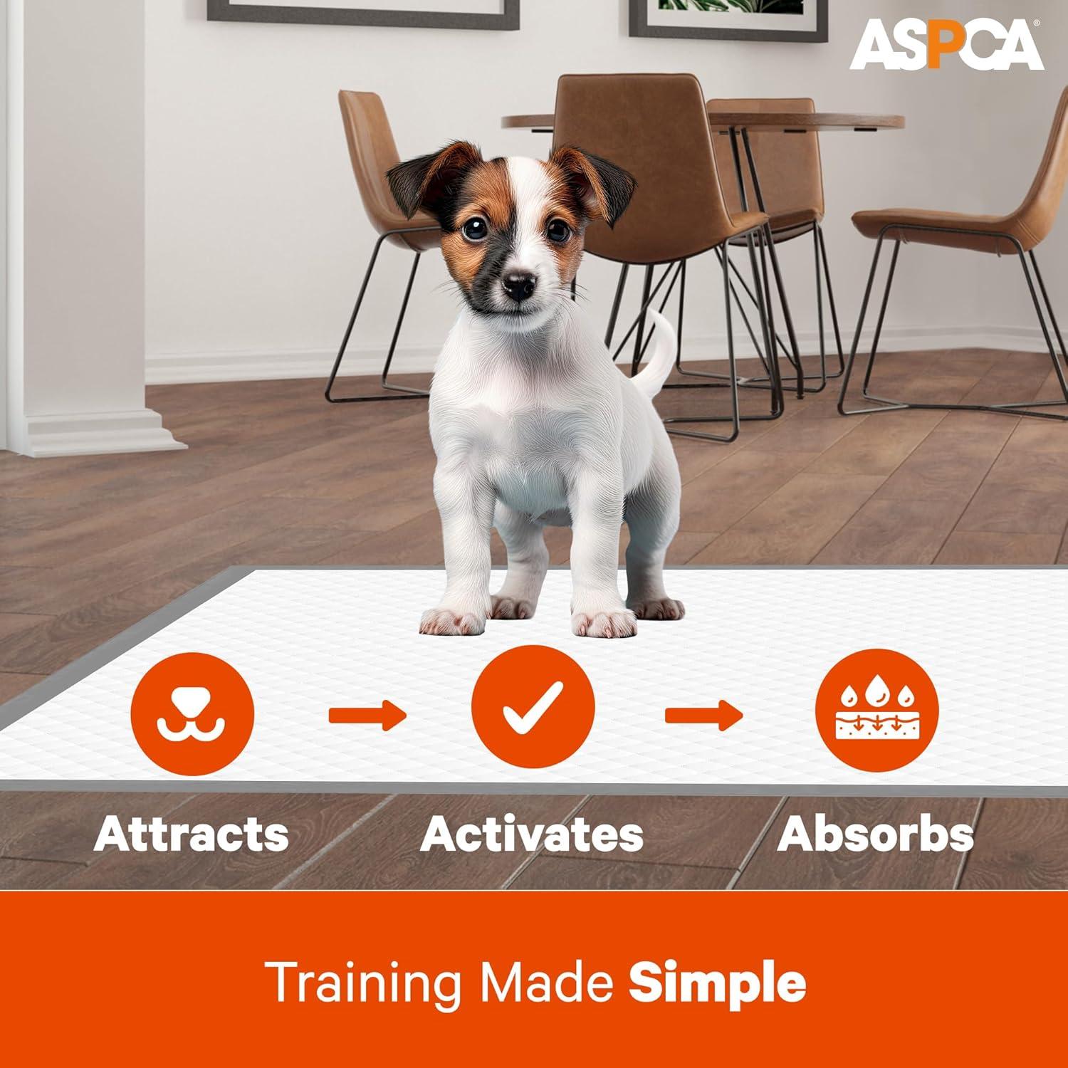 Alfombrillas para Perros Grandes ASPCA 100 Contenido 56x56 cm