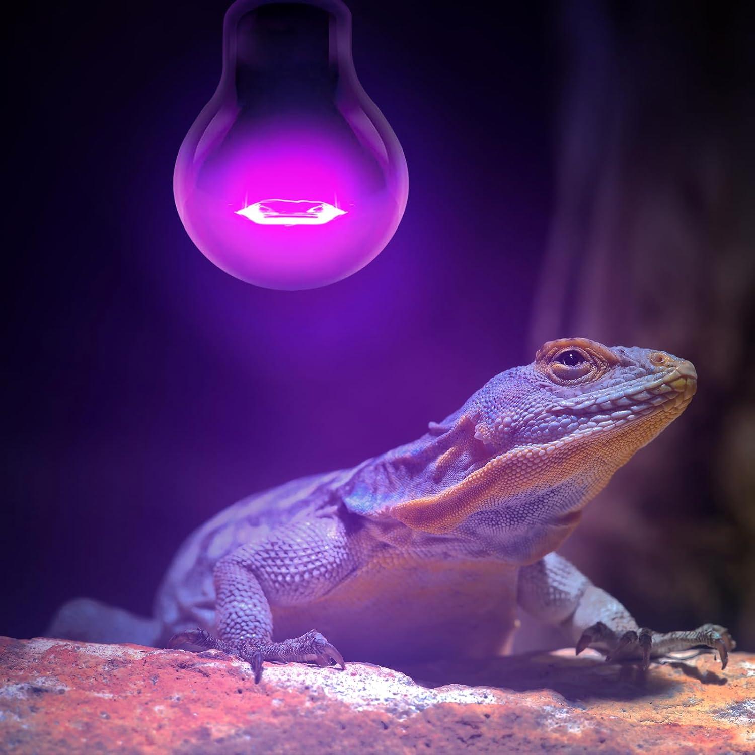 Bombillas de Calor UVA Incandescentes Leoterra 50W E26 para Reptiles