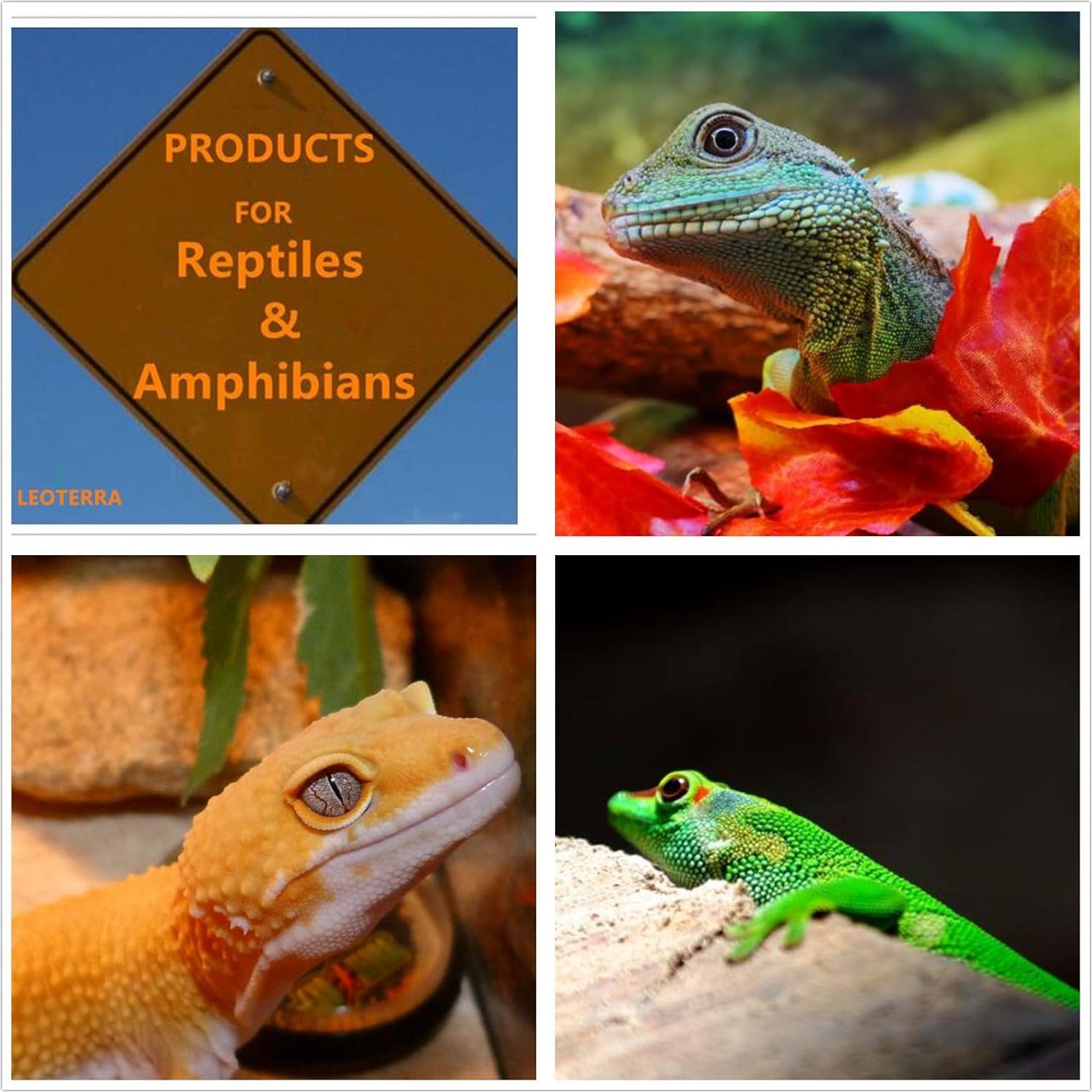 Bombillas de Calor UVA Incandescentes Leoterra 50W E26 para Reptiles