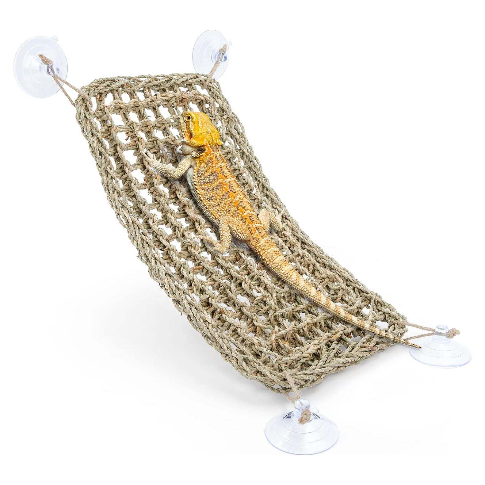 Hamaca para Reptiles Niteangel 40.64x20.32cm Dragón Barbudo