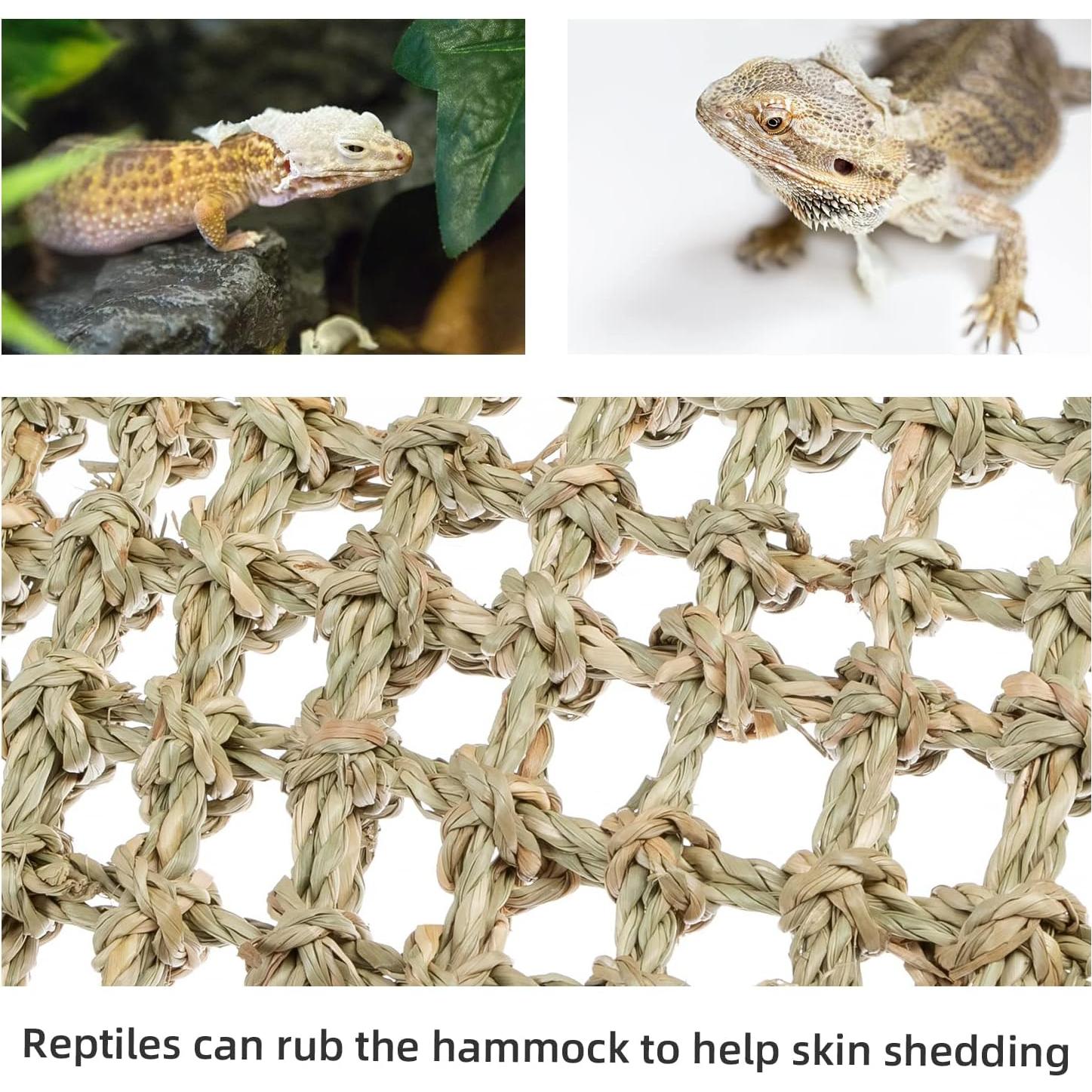 Hamaca para Reptiles Niteangel 40.64x20.32cm Dragón Barbudo