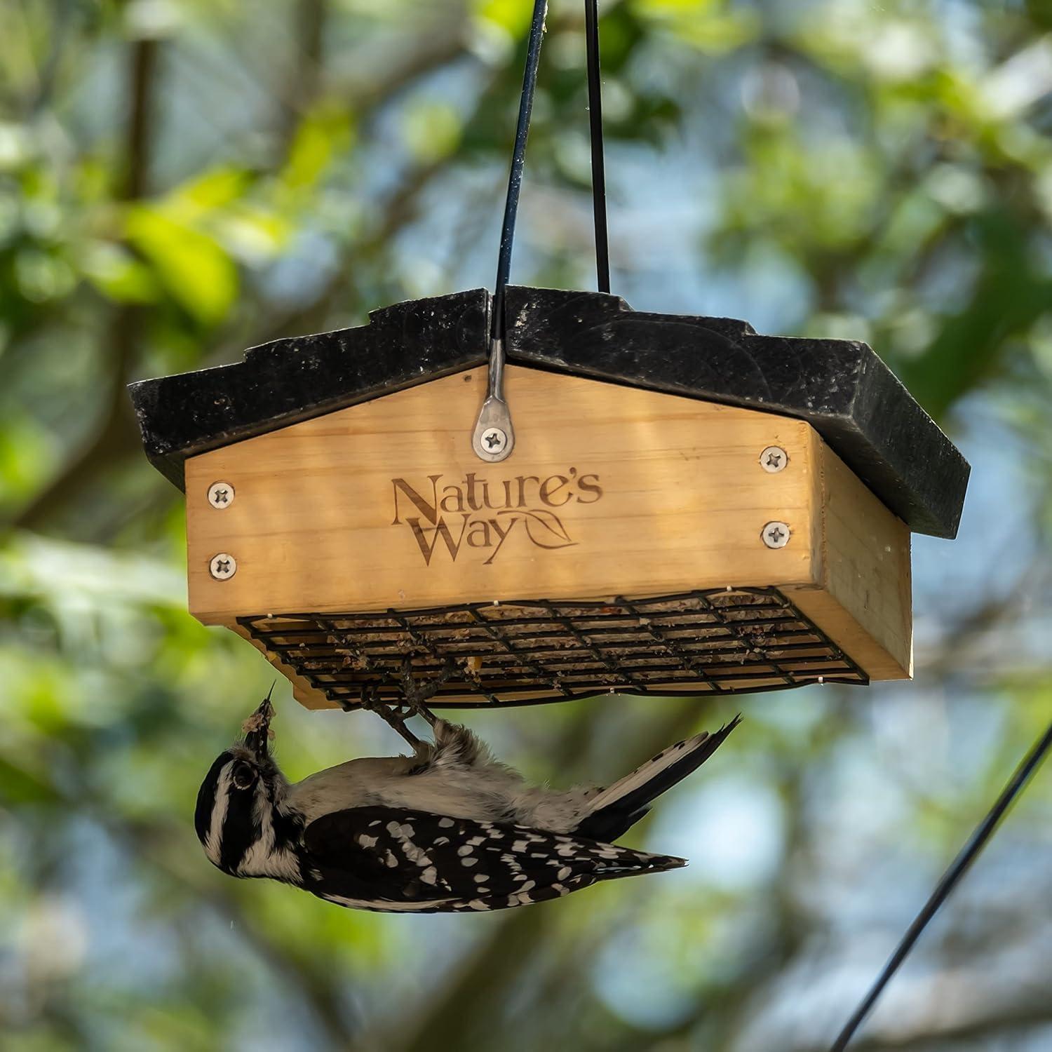Alimentador de Suet Nature's Way CWF2 para Aves Carpinteras