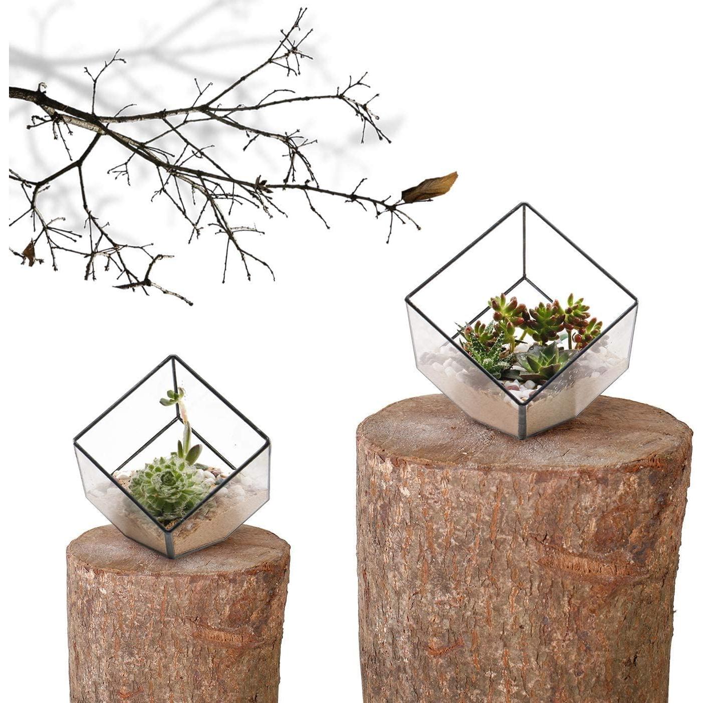 Terrario Geométrico de Vidrio ElegantLife - Maceta Decorativa